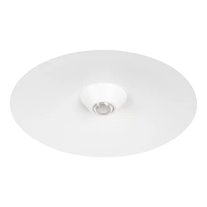 Фото #1 товара DISCO