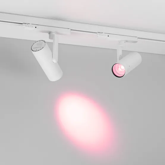 Фото #2 товара Светофильтр LGD-ARTIFACT-COLORFUL-FIX-ZOOM-R65 (WH-PK) (Arlight, Металл)