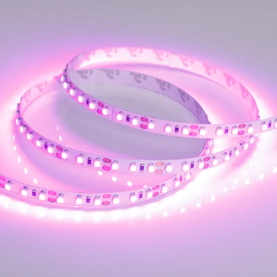 Фото #3 товара Светодиодная лента RT 2-5000 12V Pink 2X (3528, 600 LED, LUX) (Arlight, 9.6 Вт/м, IP20)