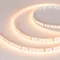 Минифото #1 товара Светодиодная лента RT-A120-8mm 24V Warm2700 CRI98 (14.4 W/m, IP20, 2835, 5m) (Arlight, Открытый)