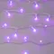Минифото #5 товара Светодиодная гирлянда ARD-STRING-CLASSIC-10000-CLEAR-100LED-SYNC RGB (230V, 6.5W) (Ardecoled, IP65)