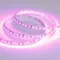 Минифото #3 товара Светодиодная лента RT 2-5000 12V Pink 2X (3528, 600 LED, LUX) (Arlight, 9.6 Вт/м, IP20)
