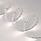 Минифото #3 товара Светодиодная лента MICROLED-M120-8mm 24V Day4000 (14 W/m, IP20, 2216, 5m) (Arlight, Открытый)