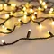 Минифото #5 товара Светодиодная гирлянда ARD-STRING-CLASSIC-20000-BLACK-200LED-MILK-SYNC RGB (230V, 13W) (Ardecoled, IP65)