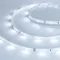 Минифото #1 товара Светодиодная лента RT 2-5000 24V White6000 0.5x (3528, 150 LED, LUX) (Arlight, 2.9 Вт/м, IP20)