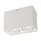 Минифото #1 товара Светильник SP-CUBUS-S100x200-2x11W Warm3000 (WH, 40 deg, 230V) (Arlight, IP20 Металл, 3 года)