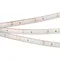 Минифото #1 товара Светодиодная лента RTW 2-5000PS 12V White6000 (3528, 300 LED, LUX) (Arlight, 4.8 Вт/м, IP67)
